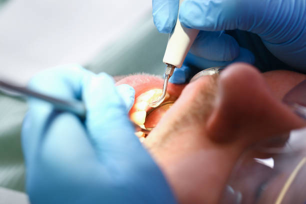 Best Pediatric Emergency Dentist in Apollo, PA